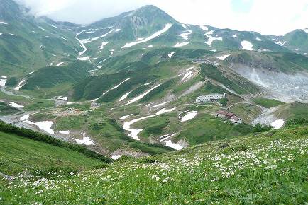 山セミの会