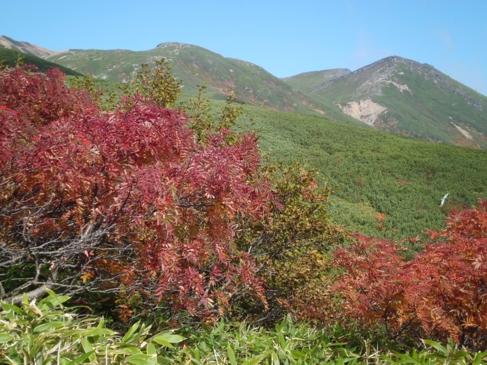 御嶽山八合目の紅葉 御嶽山八合目の紅葉