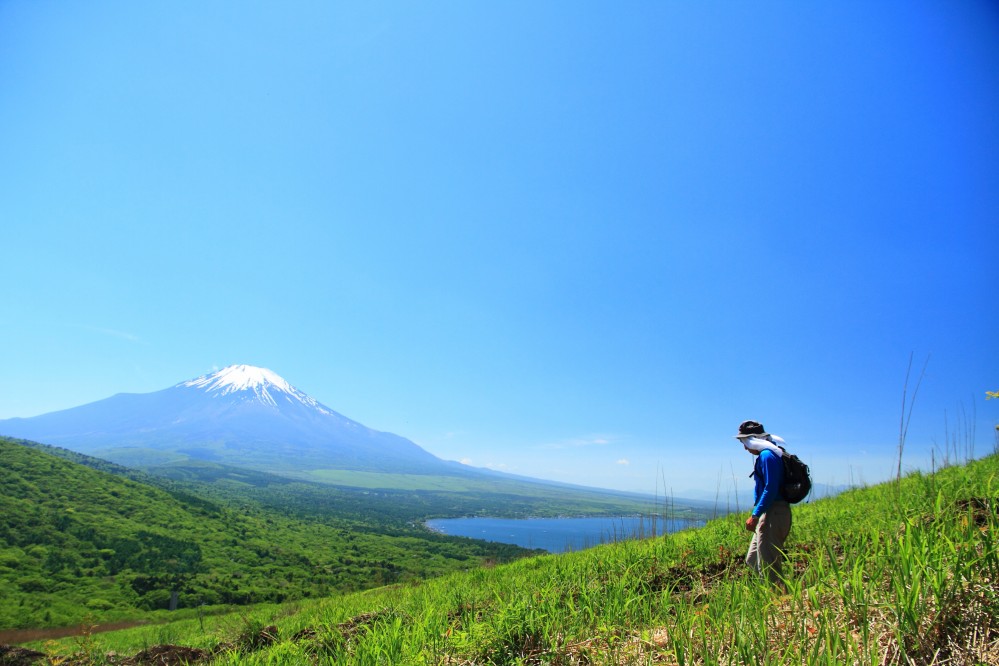 明神山ハイキングコース 明神山ハイキングコース